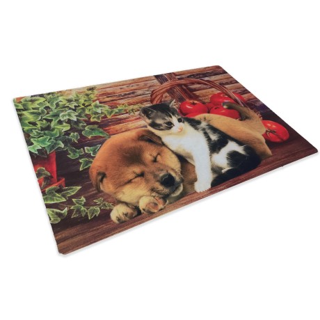 ALFOMBRA FELPUDO DIGITAL FRIENDS CM.40X60 CESTA PERRO GATO