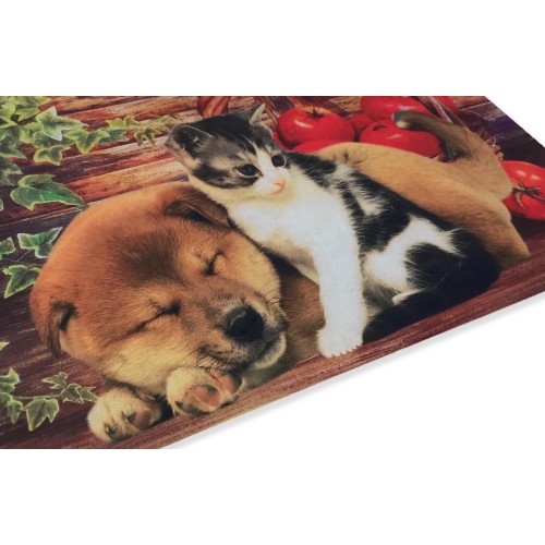 CARPET DOORMAT DIGITAL FRIENDS CM.40X60 DOG CAT BASKET