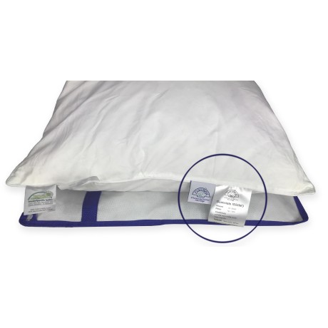 DAUNEX GOOSE ISSIMO FEATHER FEATHER PILLOW WITH TEXFAMILY MASSAGING PILLOWCASE